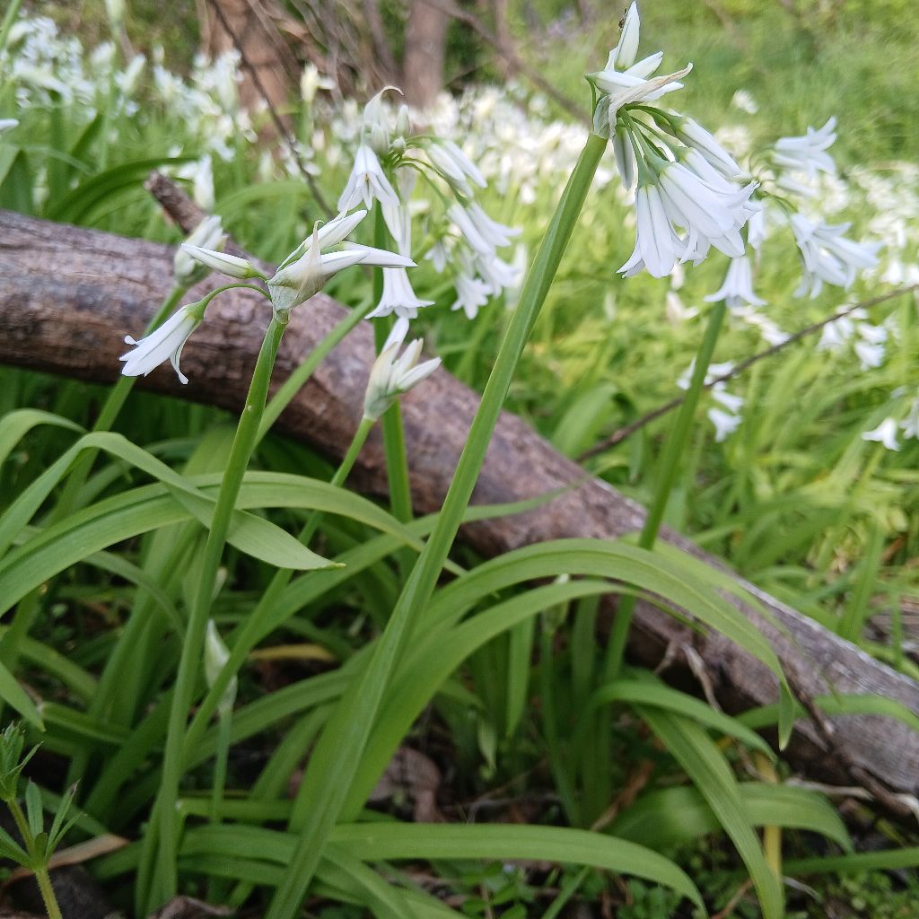 No.1286　近況報告