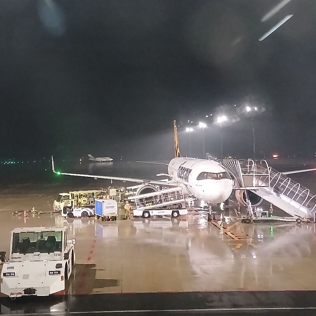 No.1291　台湾ひとり旅に行くよ④🇹🇼