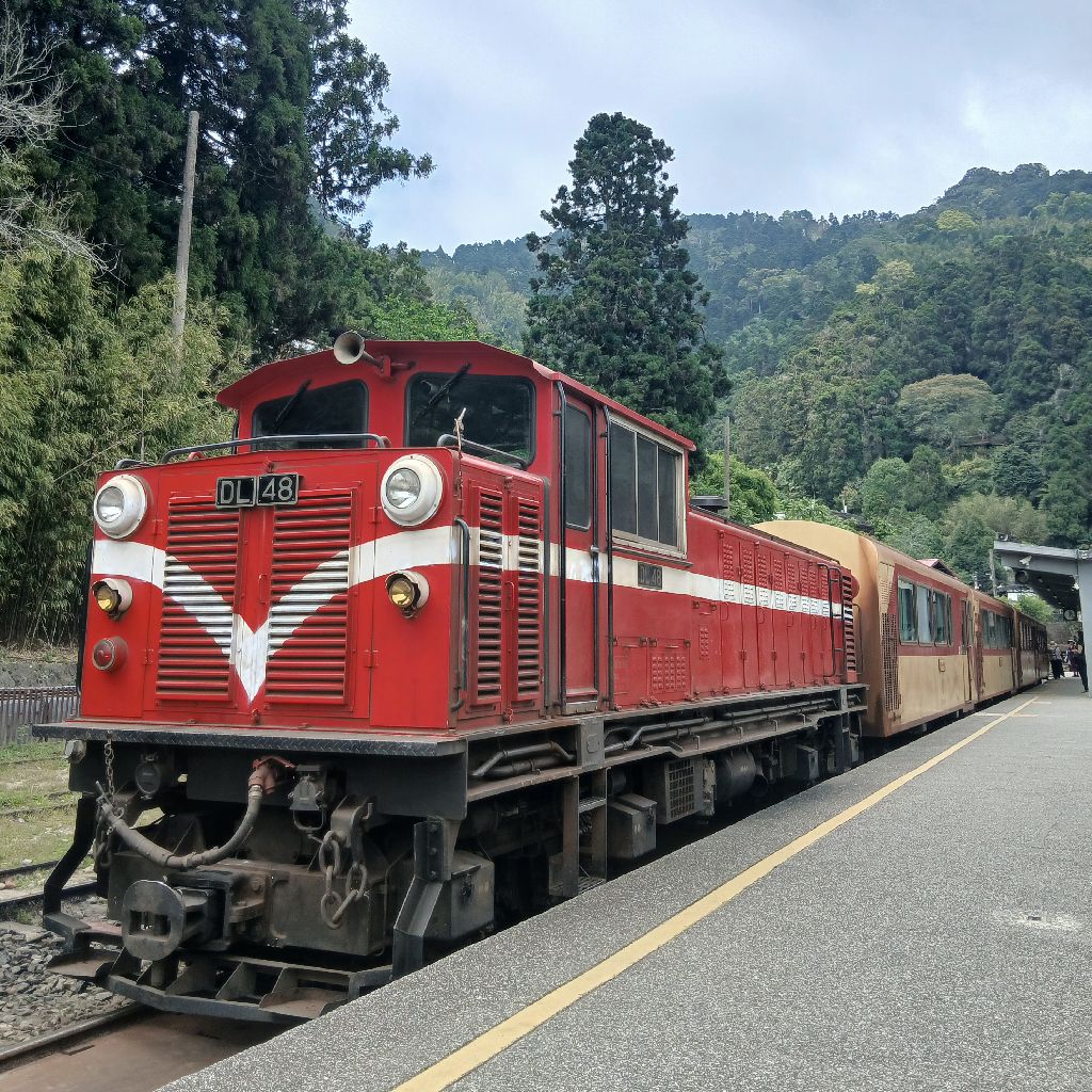 No.1296　台湾ひとり旅に行くよ⑧🇹🇼