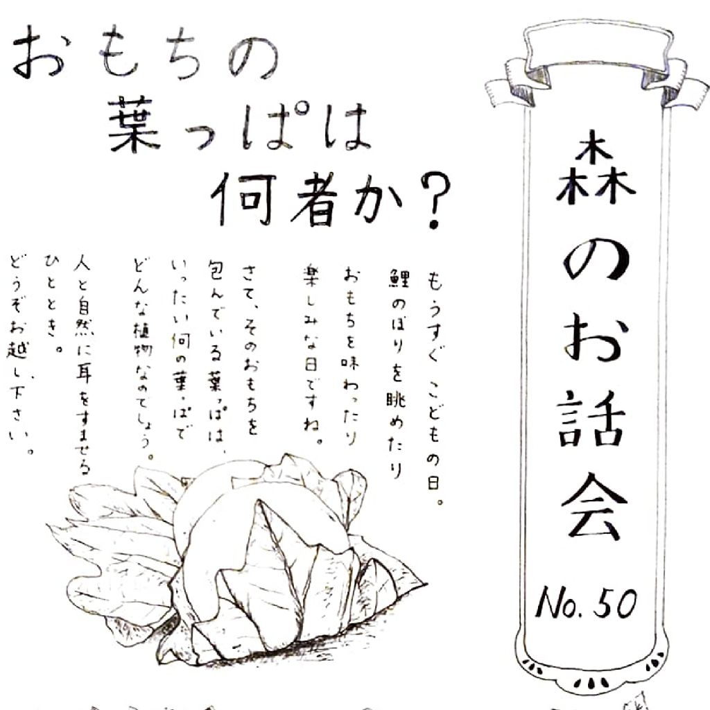 No.1304　森のお話会No.50を開催！🌿