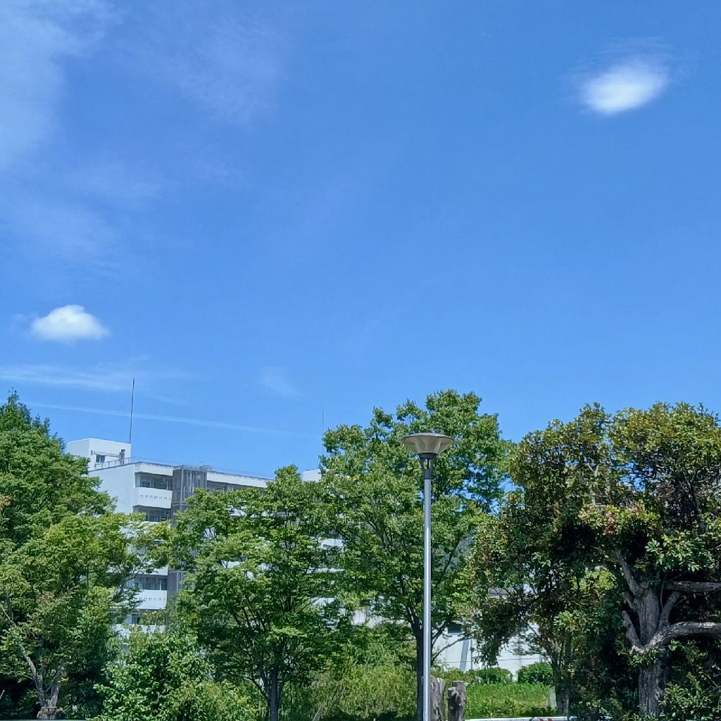 No.1320「おしゃれさ」について思ったこと