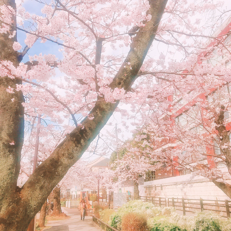 お題ガチャ--速水真澄に見るフェチシズム、無性に読みたくなるシーン