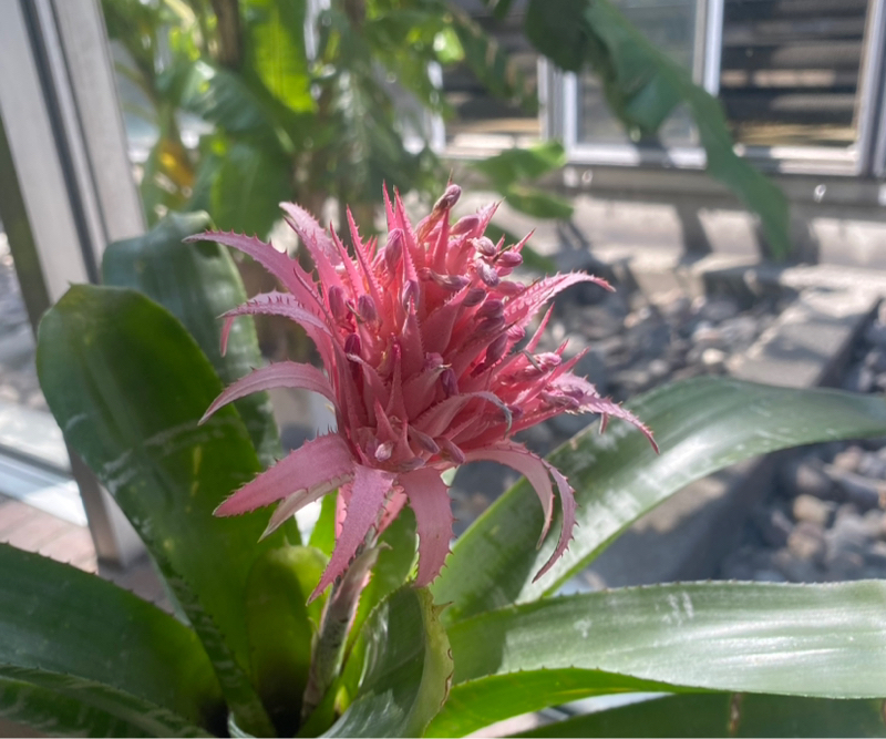 第221回 最近テレビ見なくなったけど