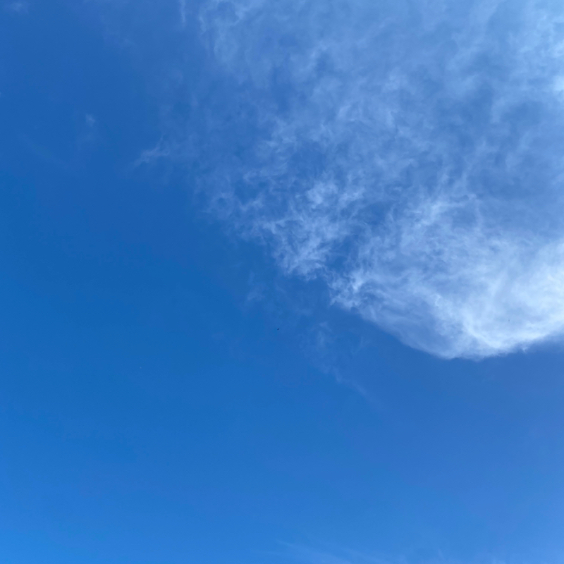 第226回 何なんだろうか