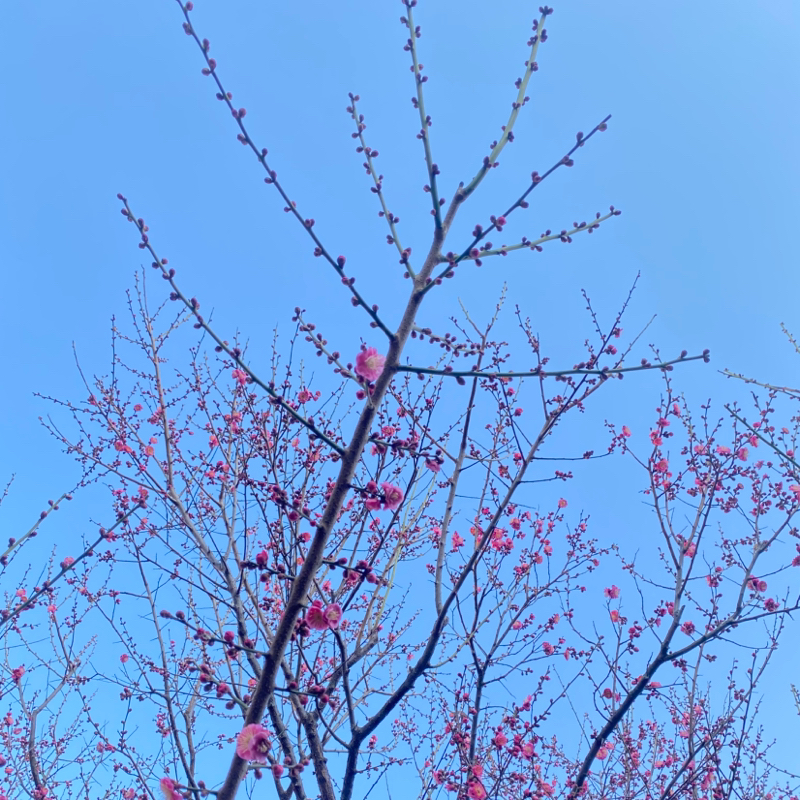 第227回 痩せよう/「怒り」の原因