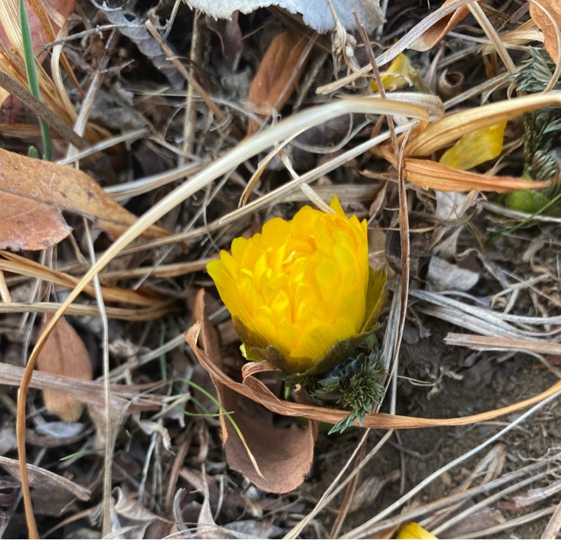 第230回 人間関係と学び/都会か田舎か