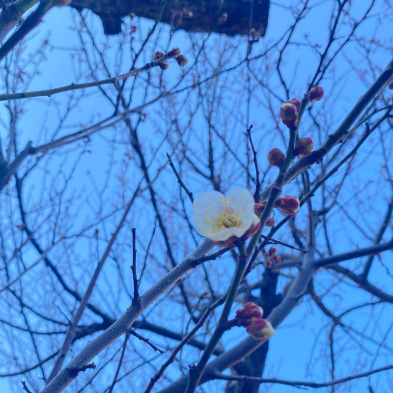 第235回 子供に還る