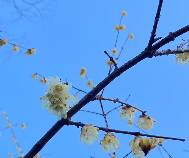 第244回 一人旅1日目