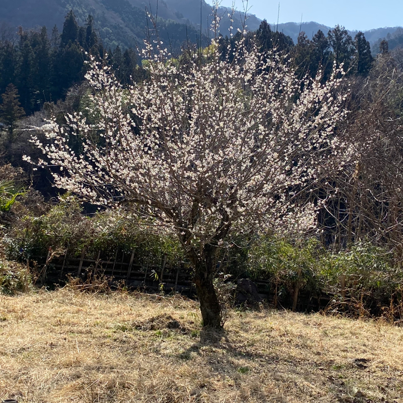 第245回 一人旅2日目