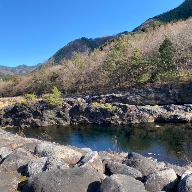 第248回 お便り/散歩