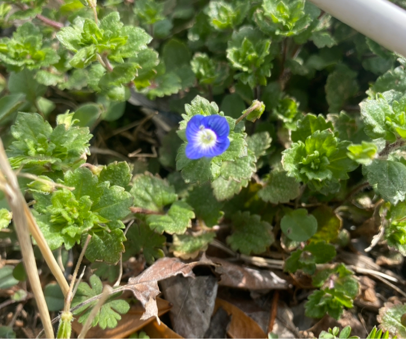 第249回 心に従って