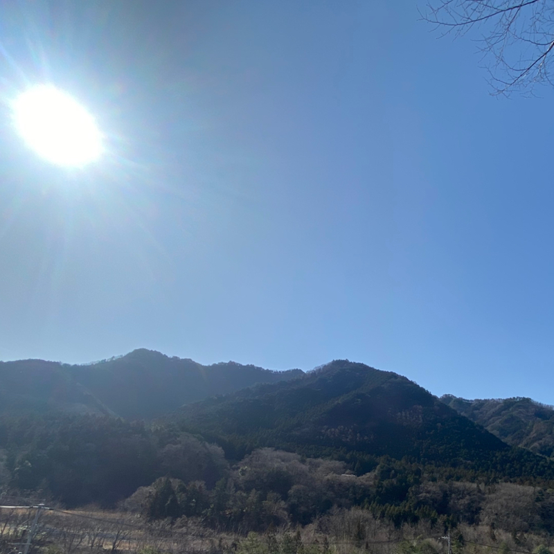 番外編 マリニンマニリン