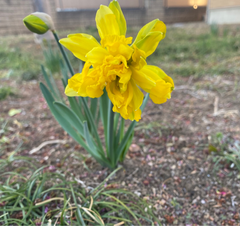 第257回 運動/教育