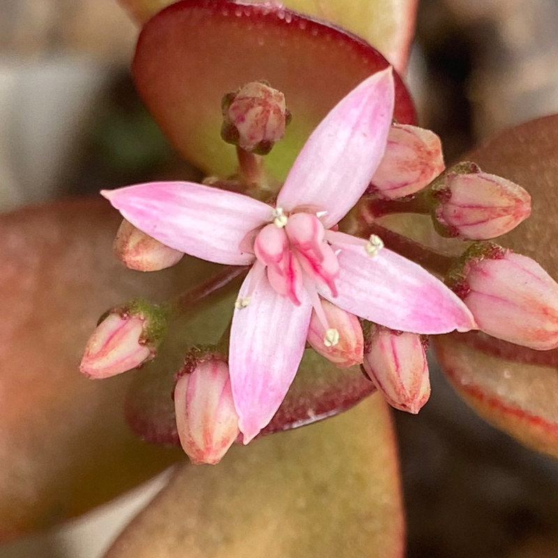 番外編 寝るときの話