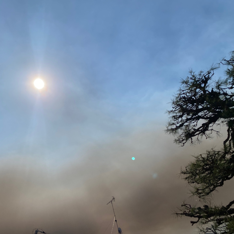 第262回 不思議なこと/ゲームの話