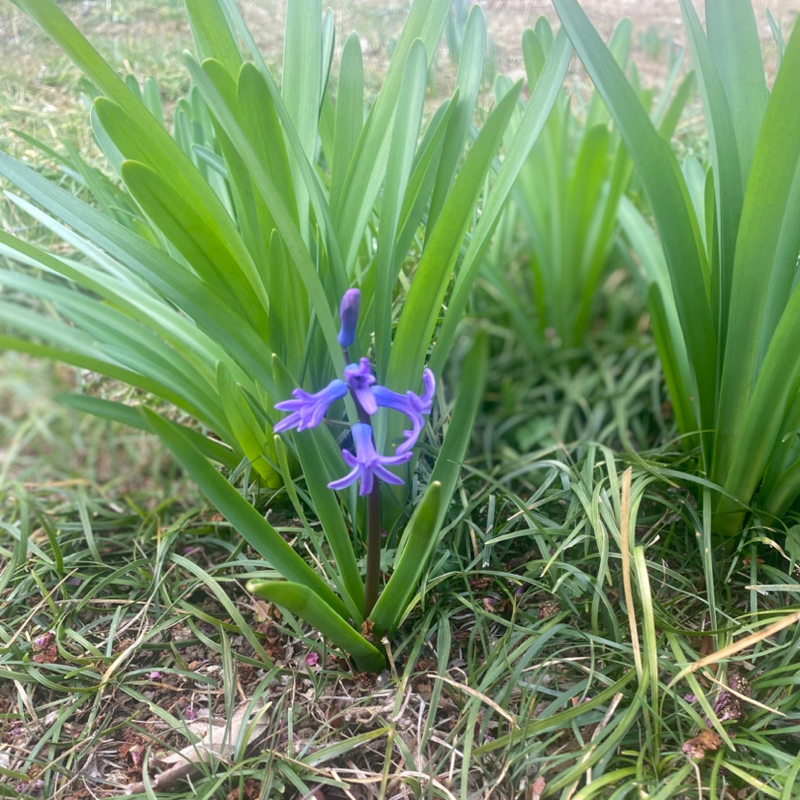番外編 お金の教育