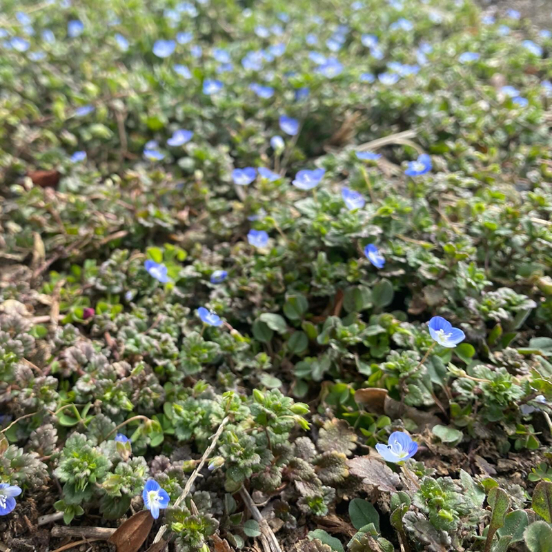 第264回 自分の世界