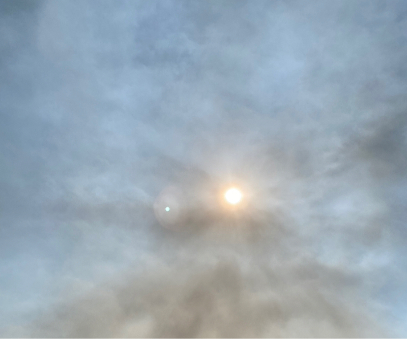 第266回 疲労/フリー席