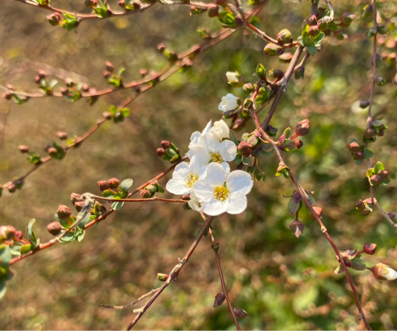 第267回 オフトーク/人生は地道