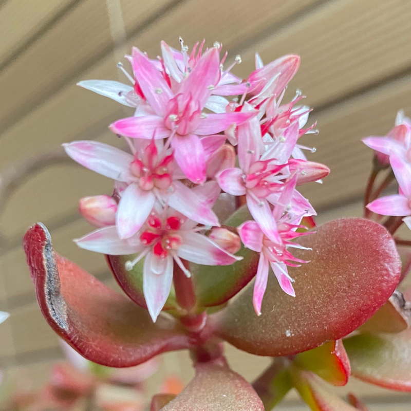 第269回 モチベーションのコントロール