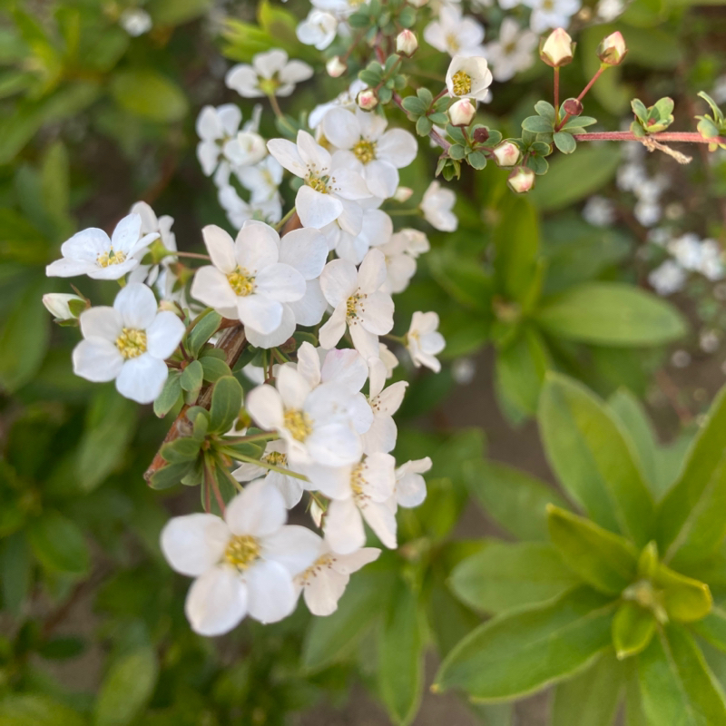 第271回 R-1グランプリ