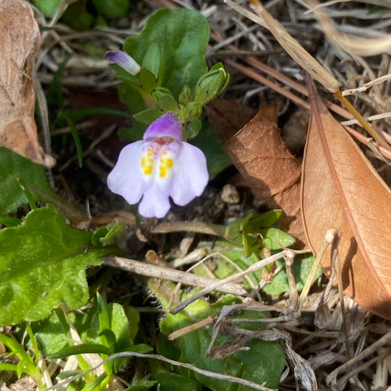 第280回 忍耐力が衰えてる？