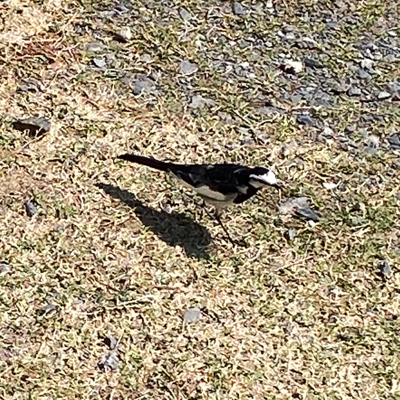 第274回 仕事の愚痴からの振り返り