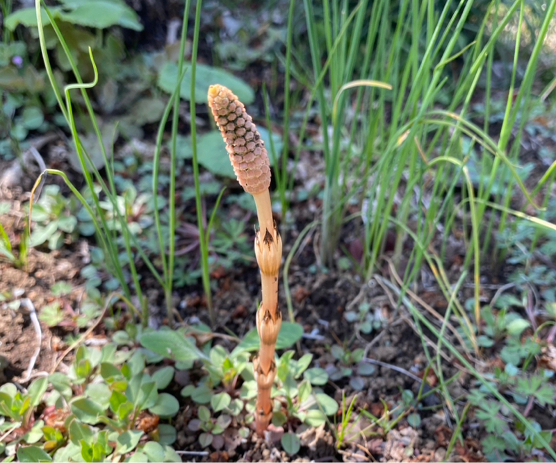 第275回 仕事の振り返りその2