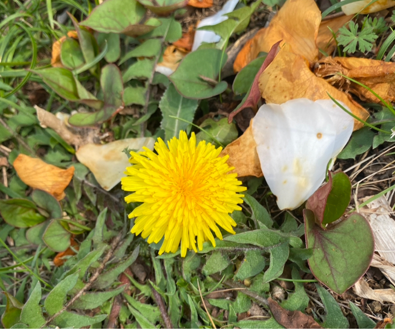 第281回 ストレス解消法は何がある？