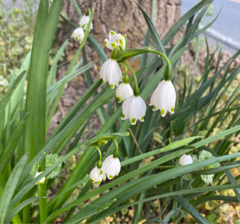 第282回 悪質な広告許すまじ