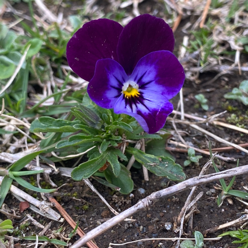 第284回 そりゃよくやってるよ