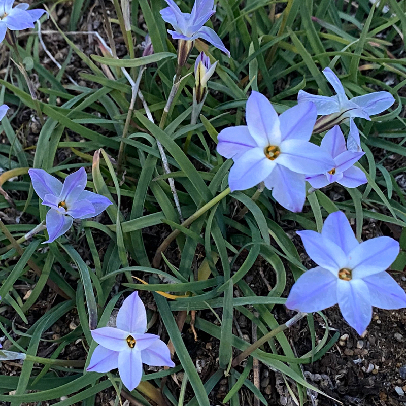 第288回 芸能って凄い業界だよな