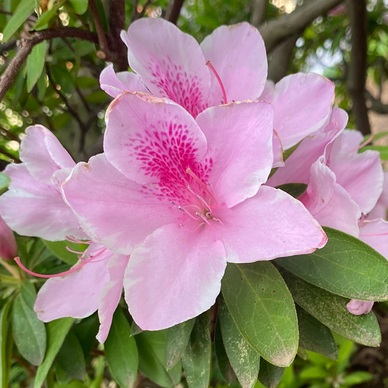 第293回 恋愛病院