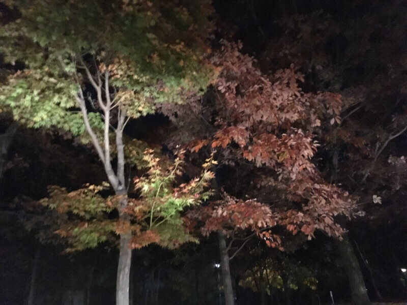 『 まなてぃ結婚式おつかれさまスペシャル！』第45回