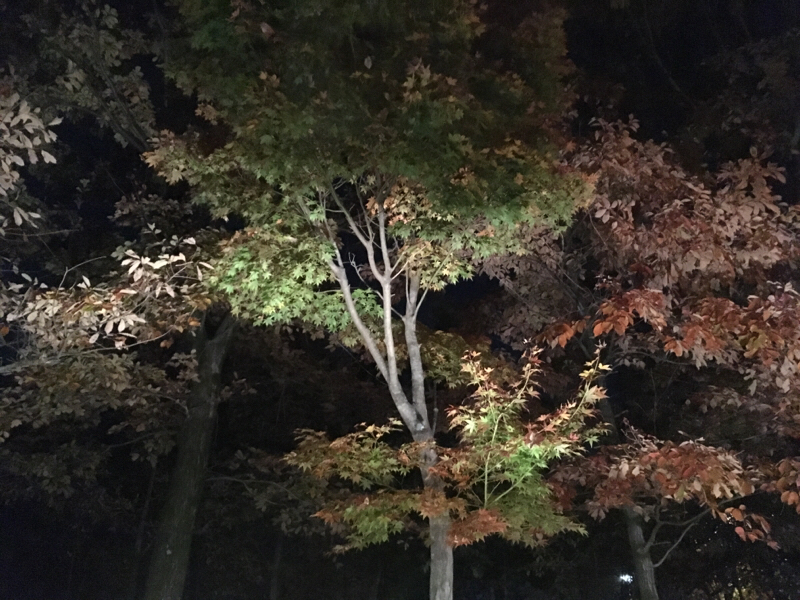 『 最近、いつ泣いた？？ 』第46回