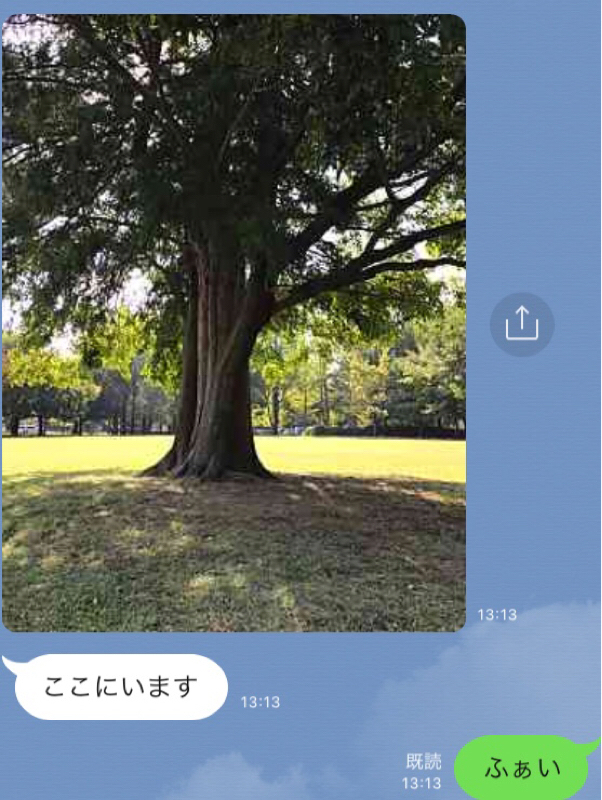 #253 追い込みパンパンの合間に。