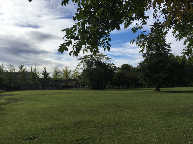 #256 冬のお楽しみはー？