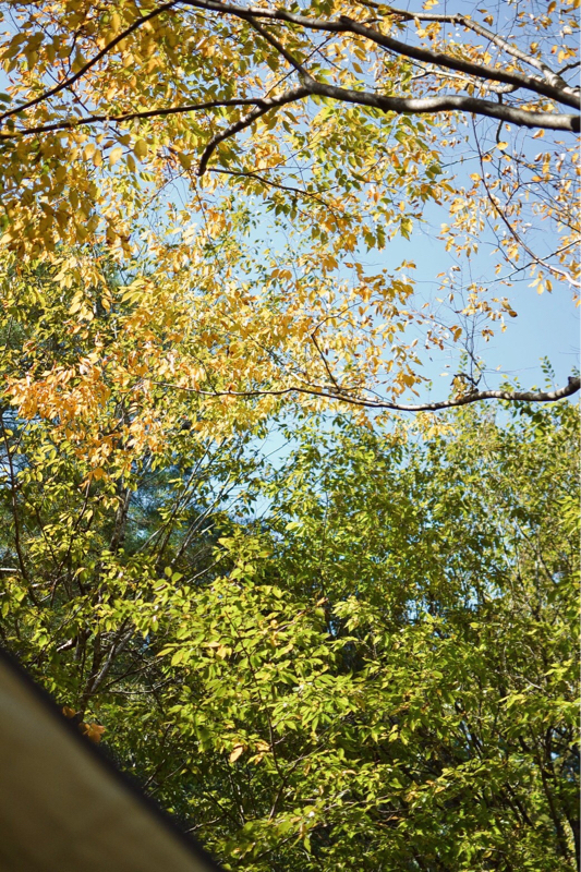 芋栗会、はっじまるよーーー！