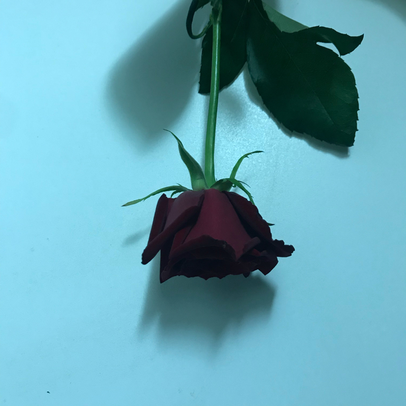 #036 メンクリ行ってもらった薬と最近どーよって話