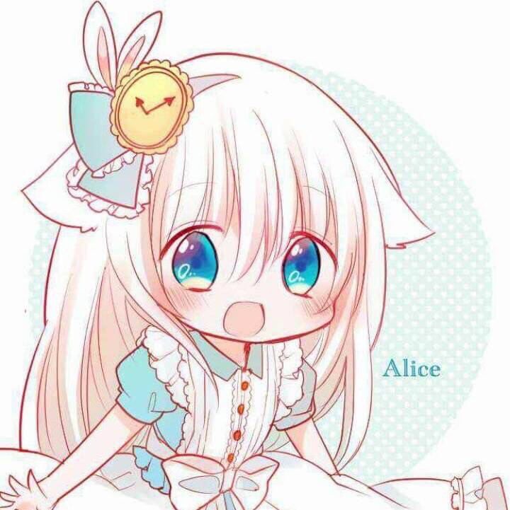 自己紹介と雑談！