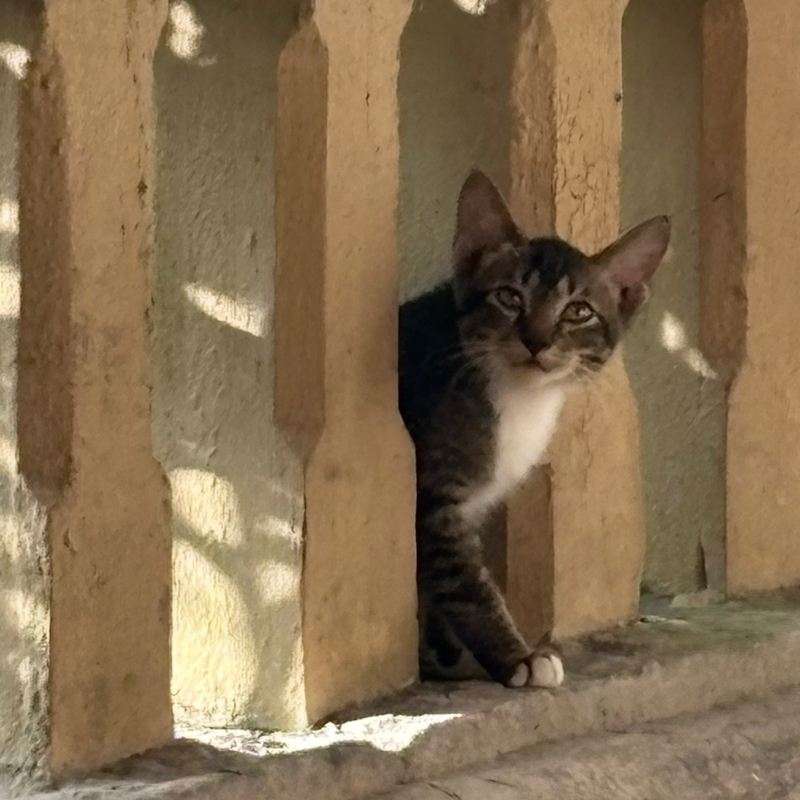 #105-🇮🇩バリ島でAI時代の生き方を考えてみる