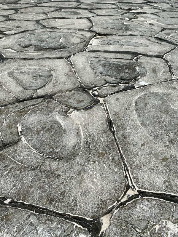 沖縄の達人松田さん2