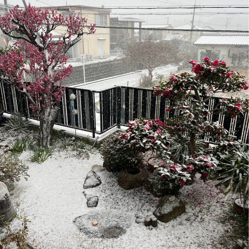 #346 雪を踏みしめて