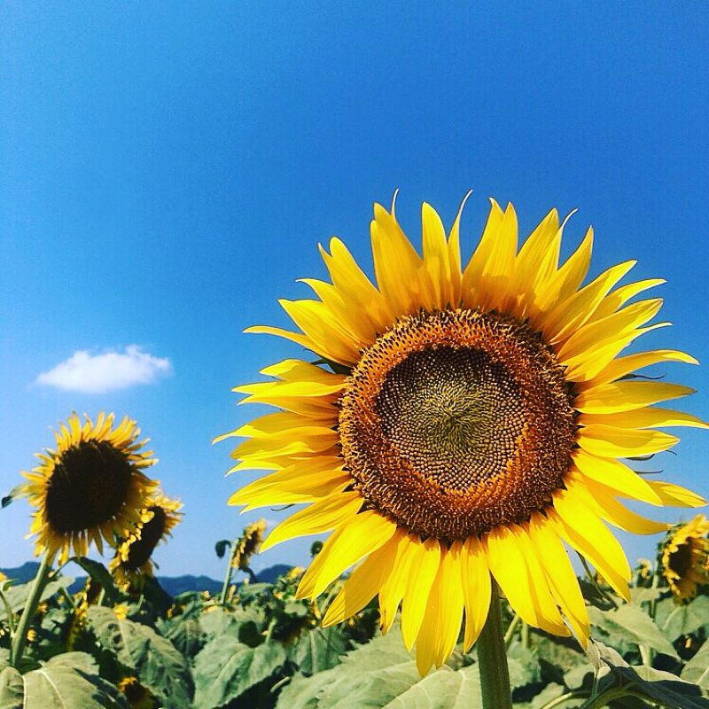 new#20 魂の１週間3日目 好き曲紹介！