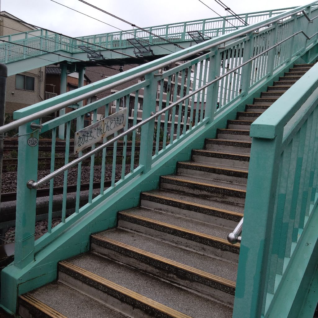 #1368『秋時雨 人道橋🌉‼️🍅』