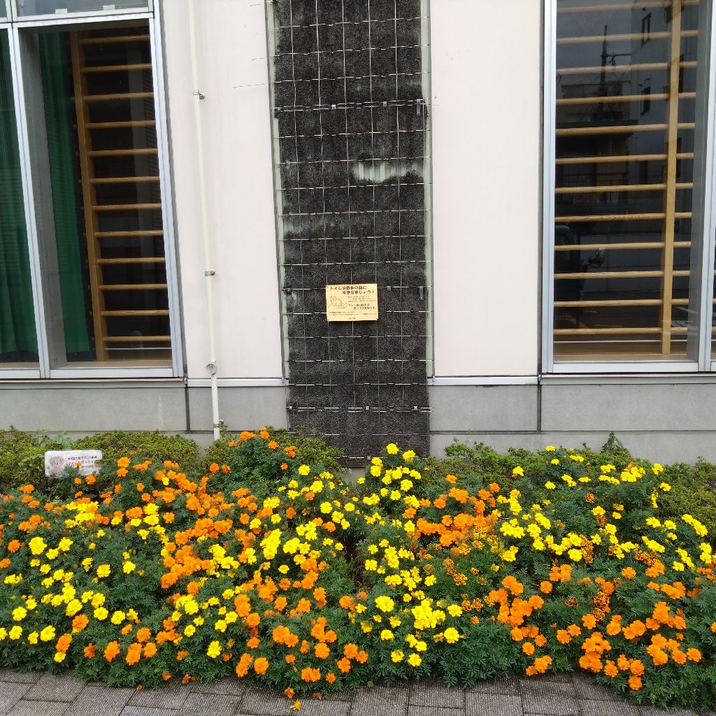 #1369『身に入むや 午後七時🕖️‼️🍅』