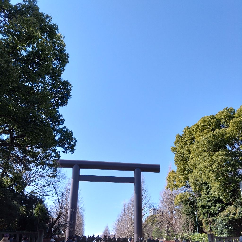 #1397『お正月 餅はない🎍‼️🍅』