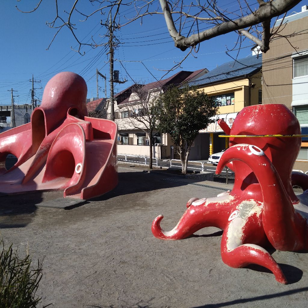 #1398『紅白や 松の内🎍‼️🍅』