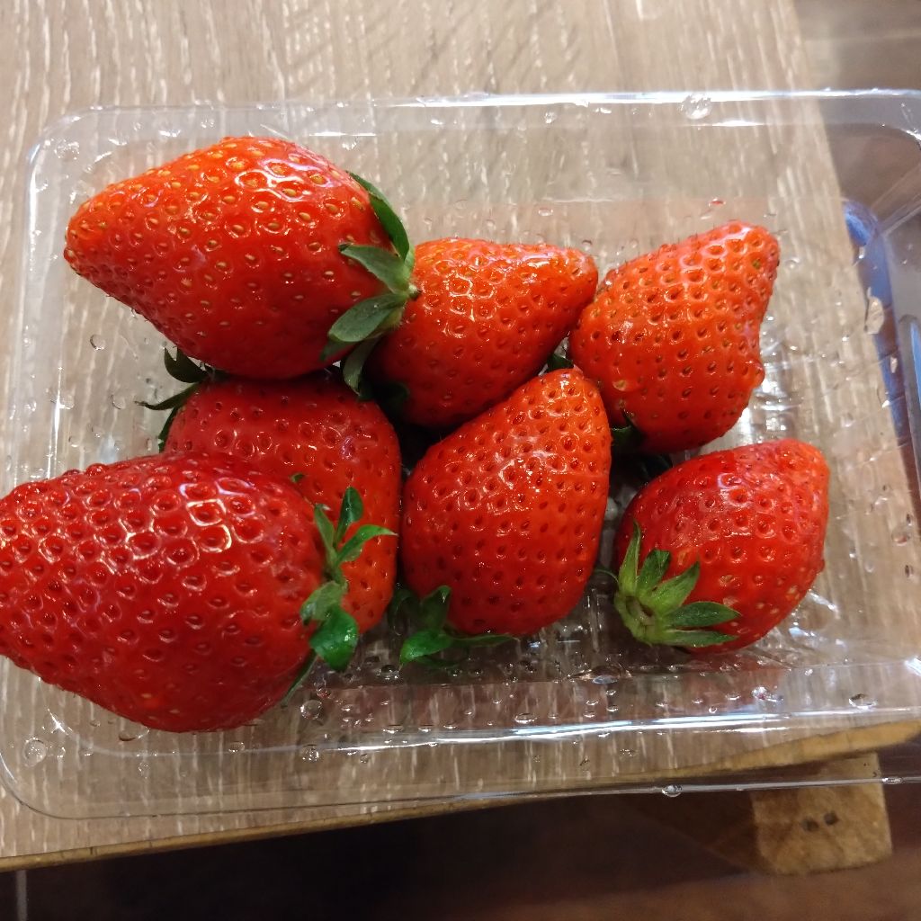 #1418『鼻水模様 花粉症👃‼️🍅』 