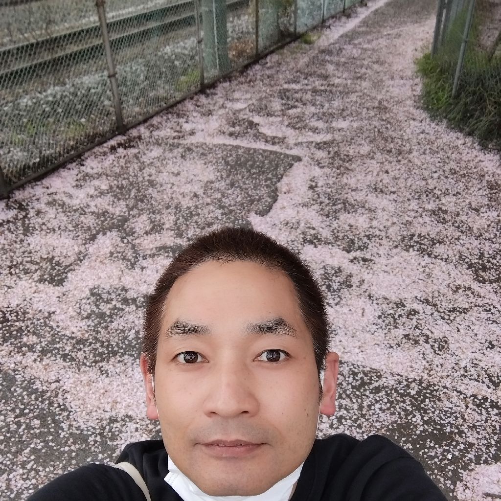 #1427『初めての道 散る桜🌸‼️🍅』